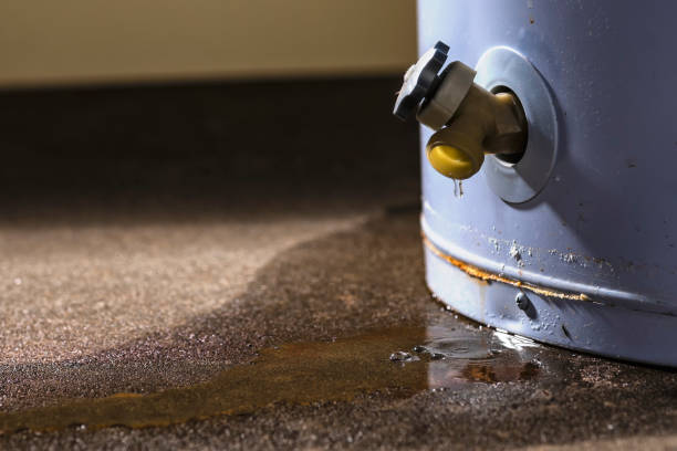 Best Residential water damage restoration  in Selma, NC