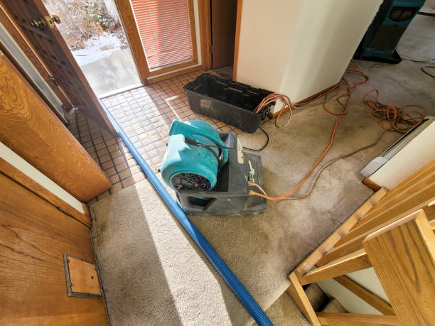 Best Fire Damage Restoration  in Selma, NC