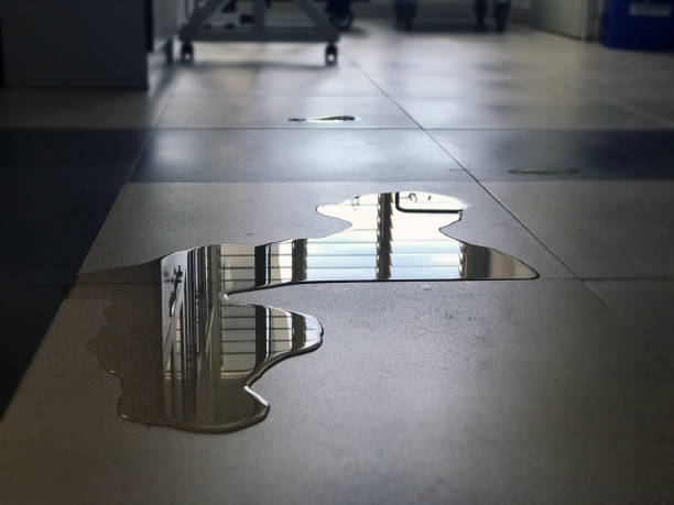 Best Commercial water damage restoration  in Selma, NC