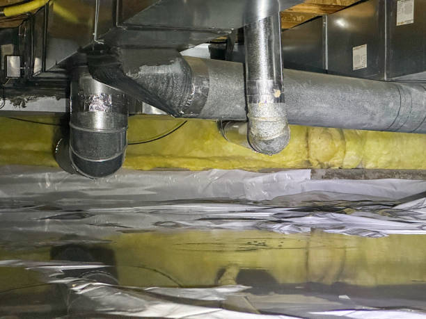 Best 24-hour water damage restoration  in Selma, NC