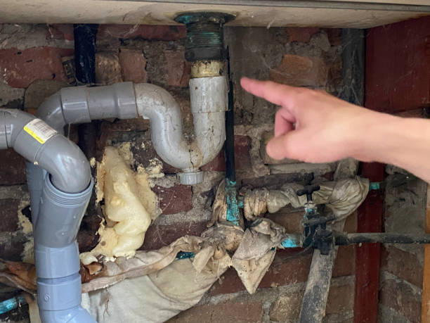 Best Water damage restoration services  in Selma, NC